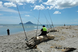 beach fishing